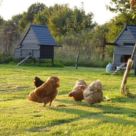 ホテル The Oaks Glamping - Magpie Half Shepherds Hut Colkirk エクステリア 写真